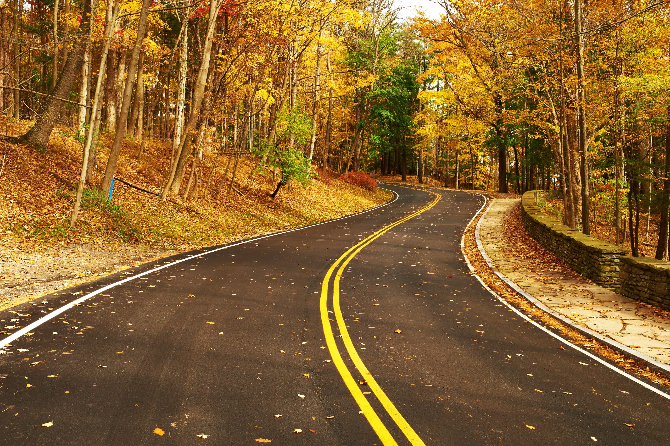 A photo of a winding road in the Autumn.