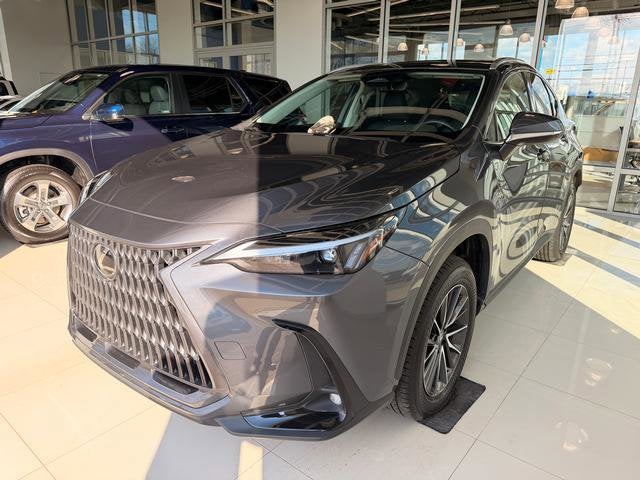 2024 Lexus NX 350 NX 350