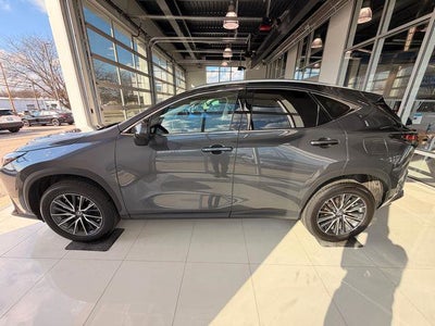 2024 Lexus NX 350 NX 350