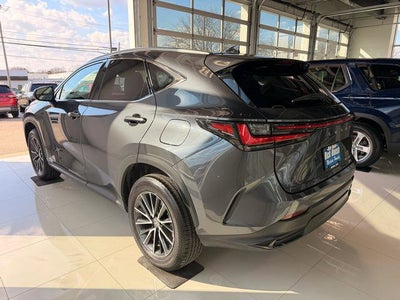 2024 Lexus NX 350 NX 350