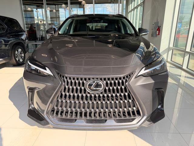2024 Lexus NX 350 NX 350